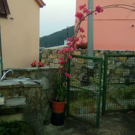 La Capinera *
